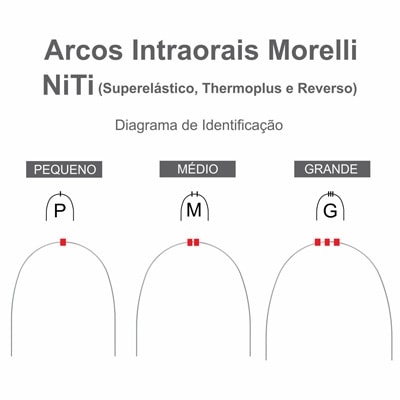 thumbnail image 2 of Morelli NiTi Superelastic Orthodontic Archwires – .016x.022 Rectangular – 10-Pack – Brazil 2 of 4