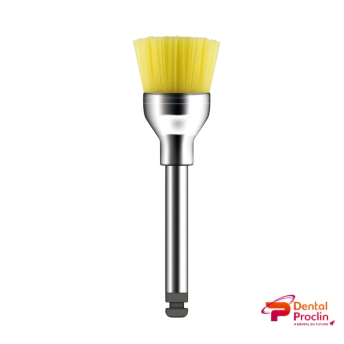 Escova Robinson Color-Brush CA - American Burrs