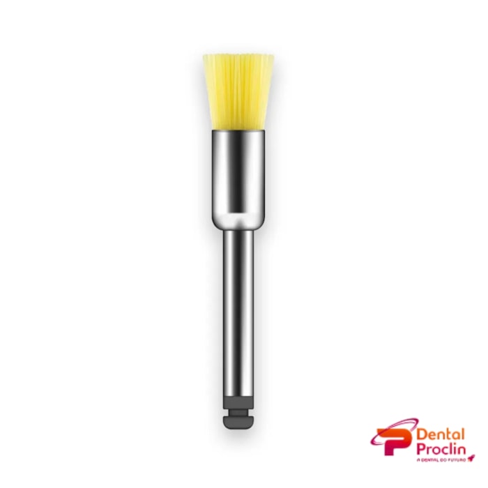 Escova Robinson Color-Brush CA - American Burrs
