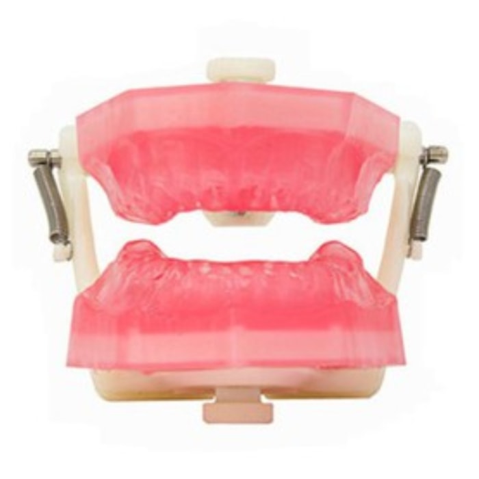 Manequim Top Endodontia PD107 - Pronew