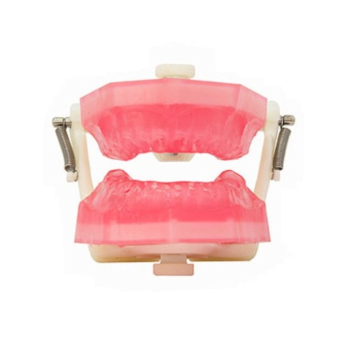 Manequim Top Endodontia PD107 - Pronew