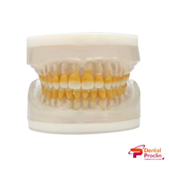 Refil Para Manequim de Periodontia AC104 - Pronew