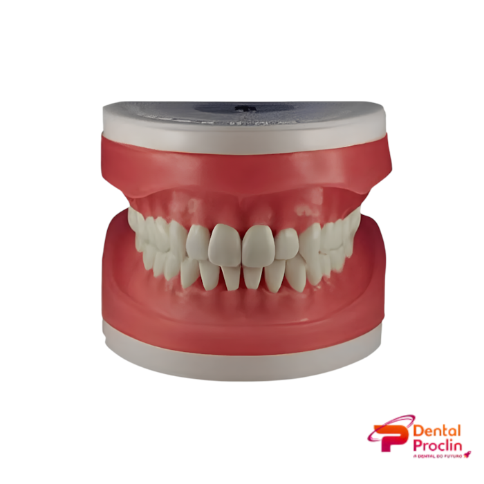 Refil para Manequim Top Dentística – Pronew